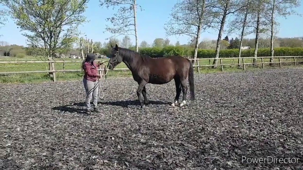 Opbouwen van de verbindingslijn