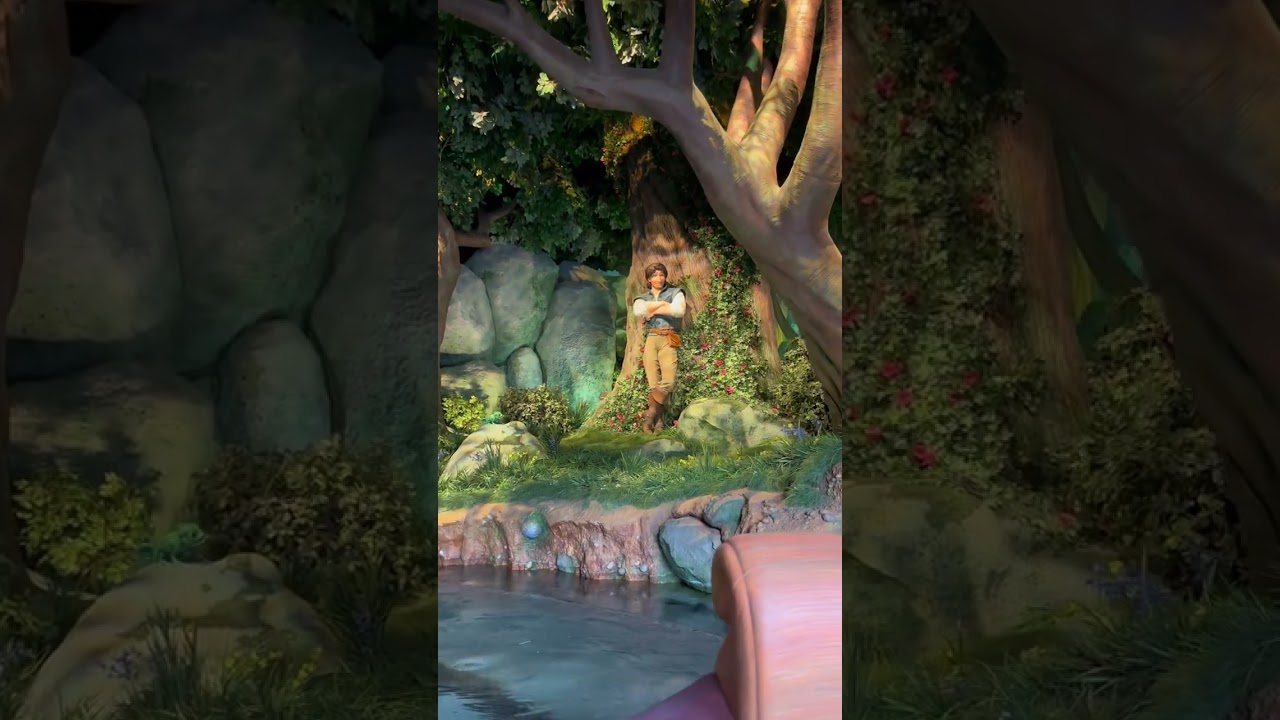 ディズニーランドの写真˃ 𖥦 ˂￼