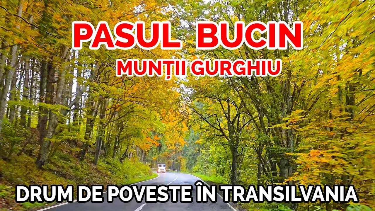 🚗 Pasul Bucin, un drum montan spectaculos cu peisaje de toamnă pitorești,  Munții Gurghiu 🌲 / DN13B