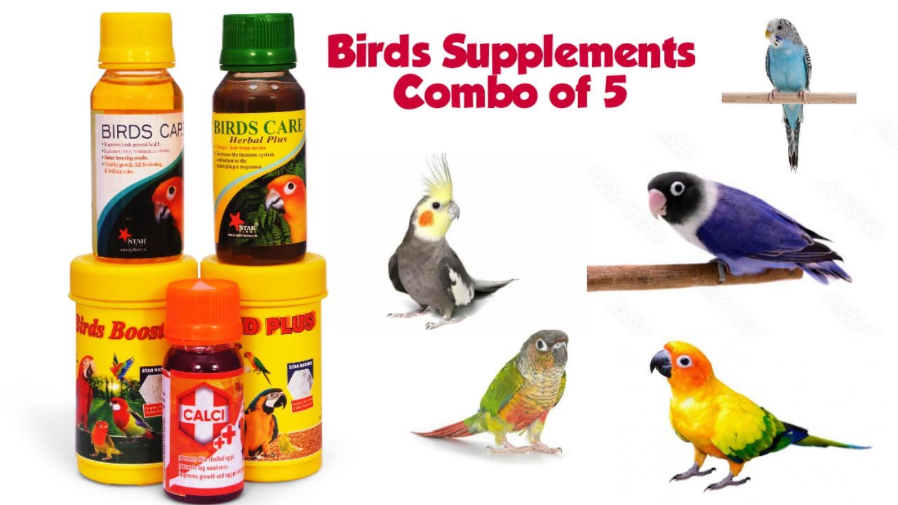 Birds Supplements & Medicines / Breeding Formula & Syrups / Combo of 5