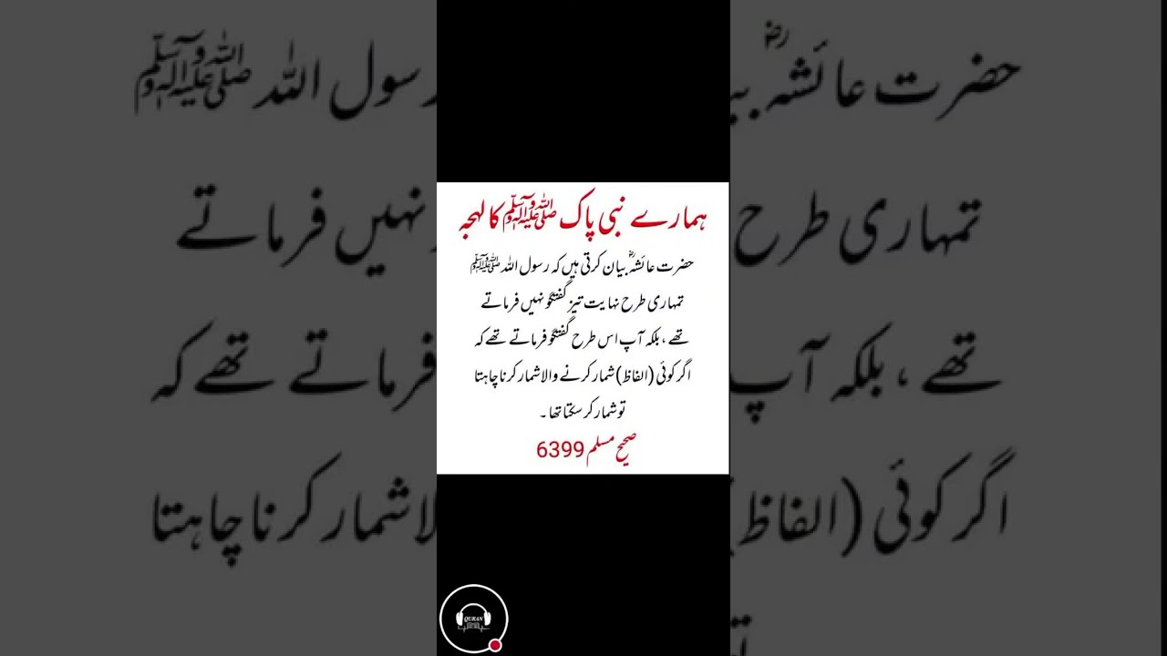 The Quran Voice | live videos