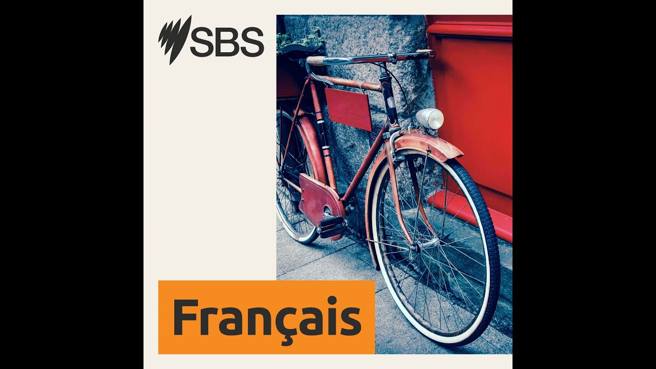Le journal des sports 16/01/2024 - Focus sur l'Open d'Australie