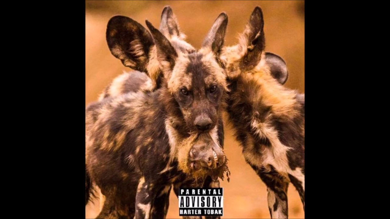 Babylon Mayne & Stickie P - Haunted