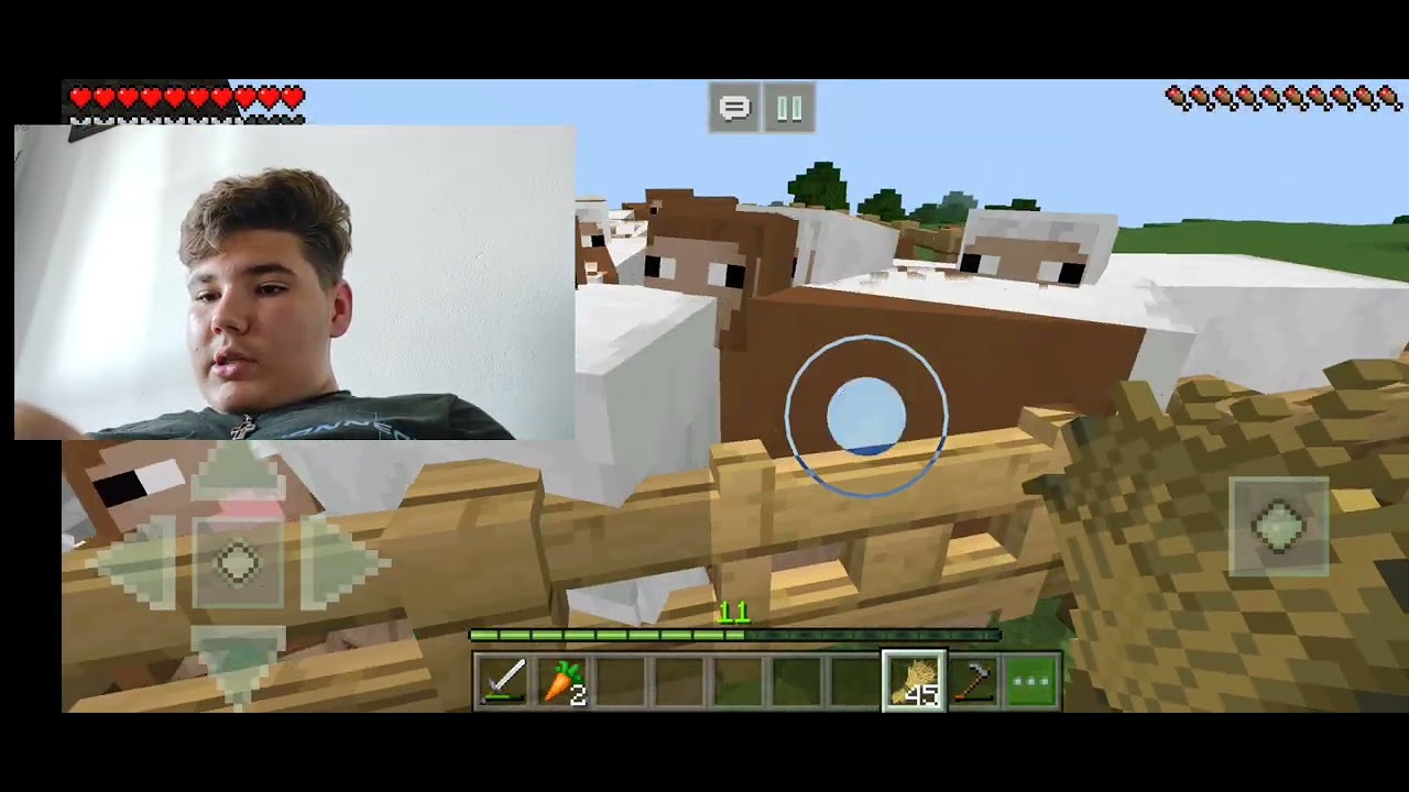 Minecraft pt.13