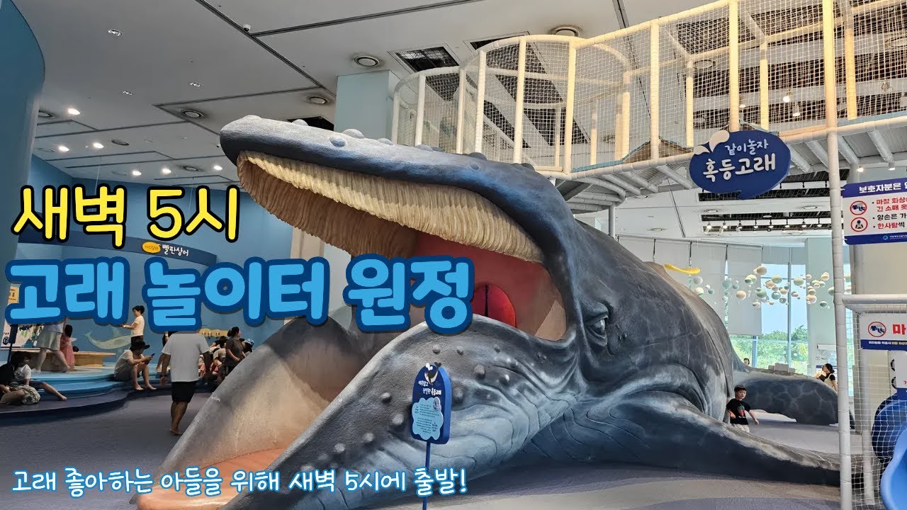 고래 하나 보고 새벽 5시에 출발한 가족 여행 ｜ 서천 씨큐리움