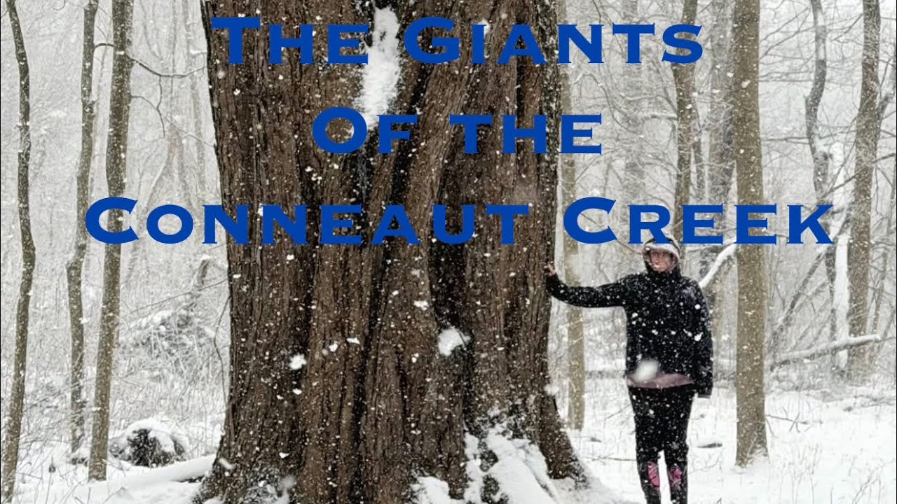 The Giants of the the Conneaut Creek 