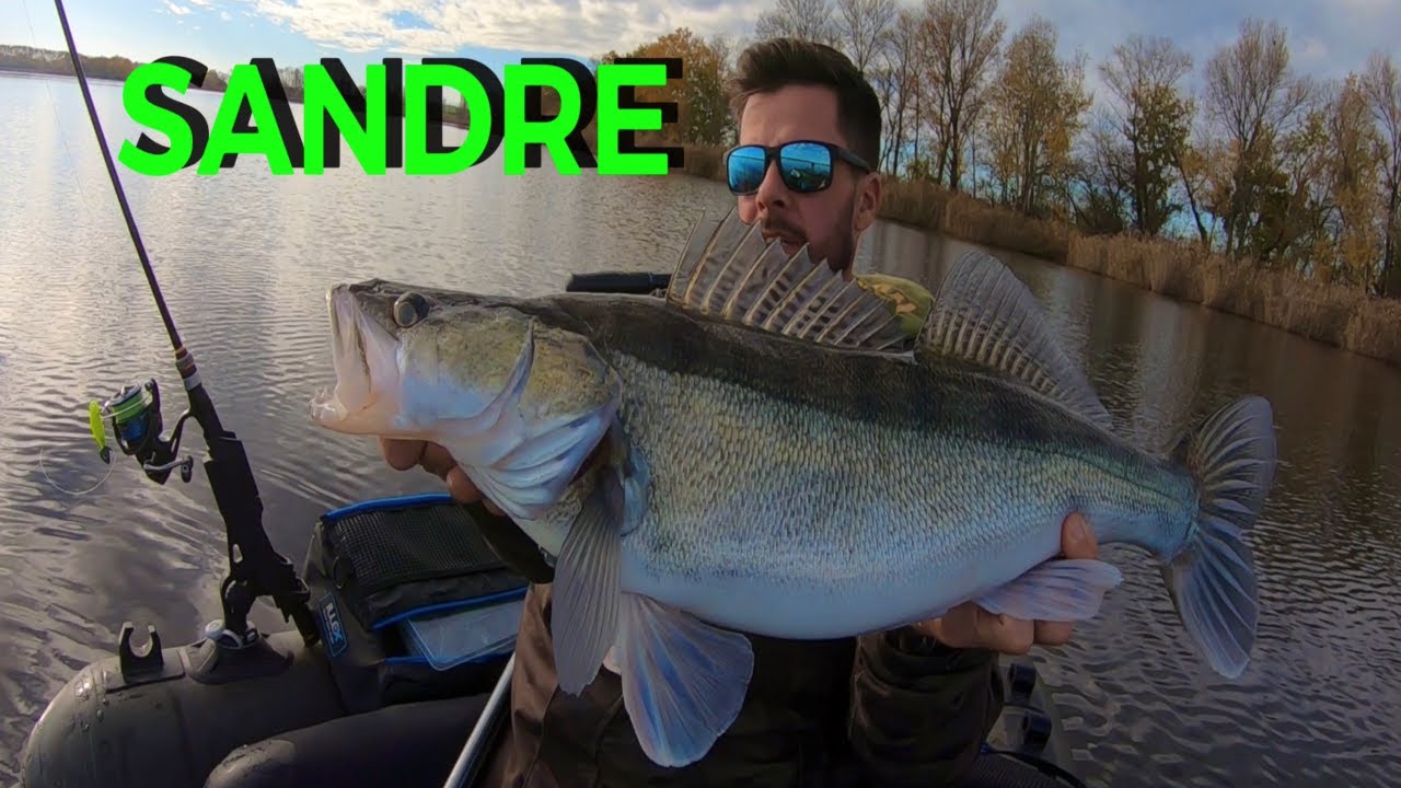 Gros sandre verticale en float tube
