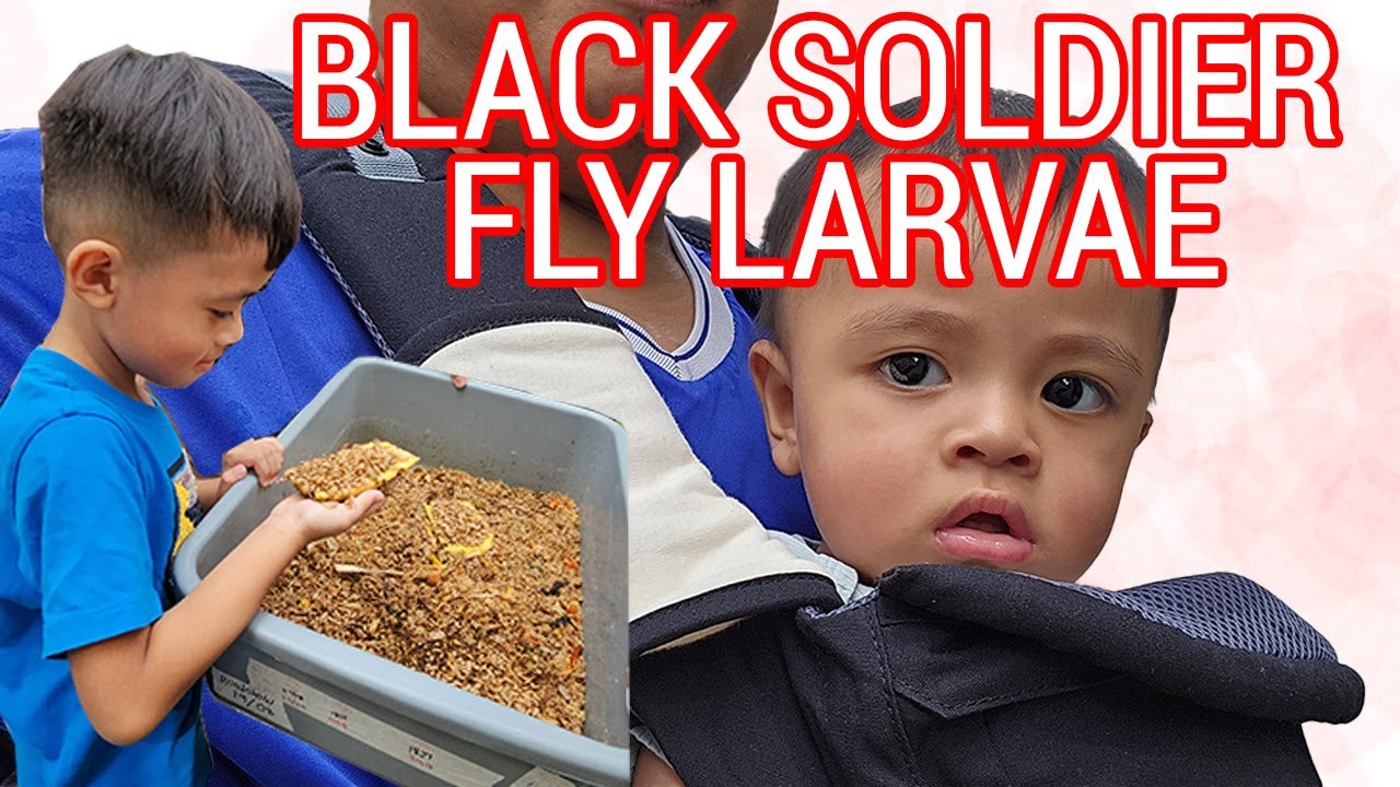 BLACK SOLDIER FLY FACILITIES TOUR 2023