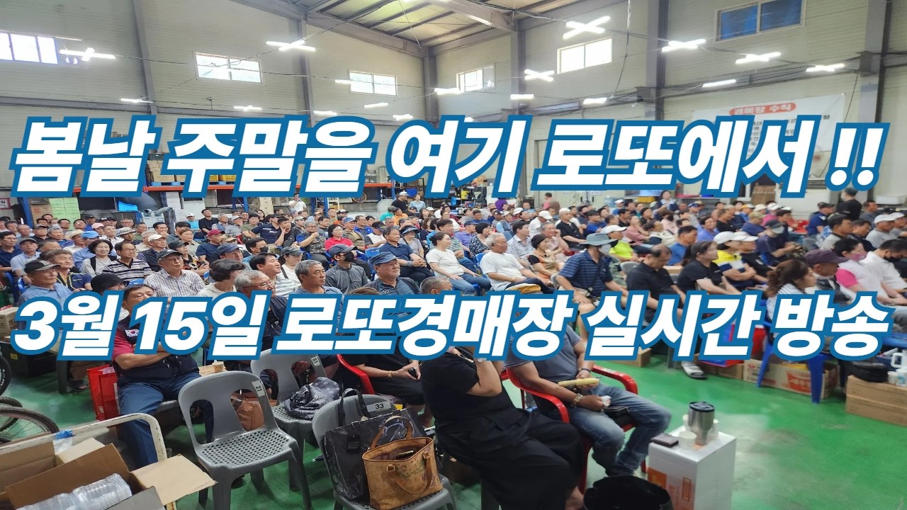 3월 15일 일요일 로또경매장 현장 실시간~