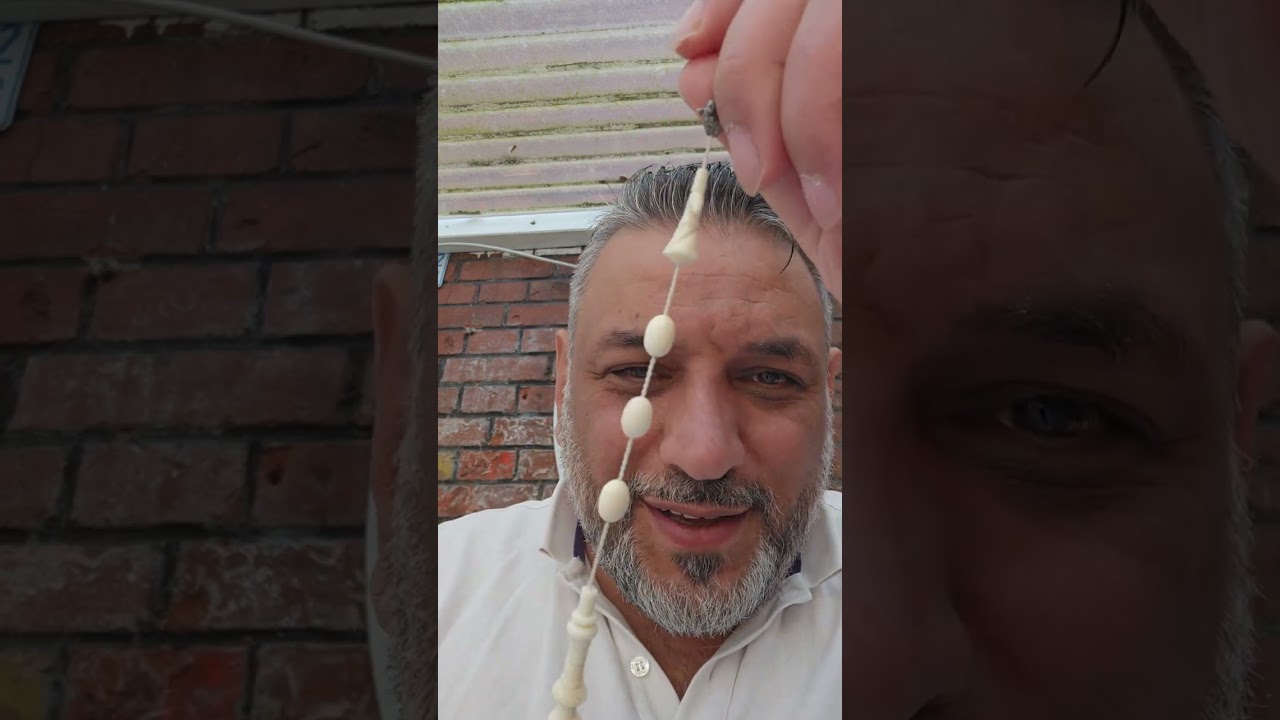 Yeni Gelenler Tesbihlerim