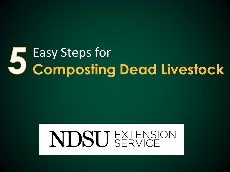 How to Compost Dead Livestock