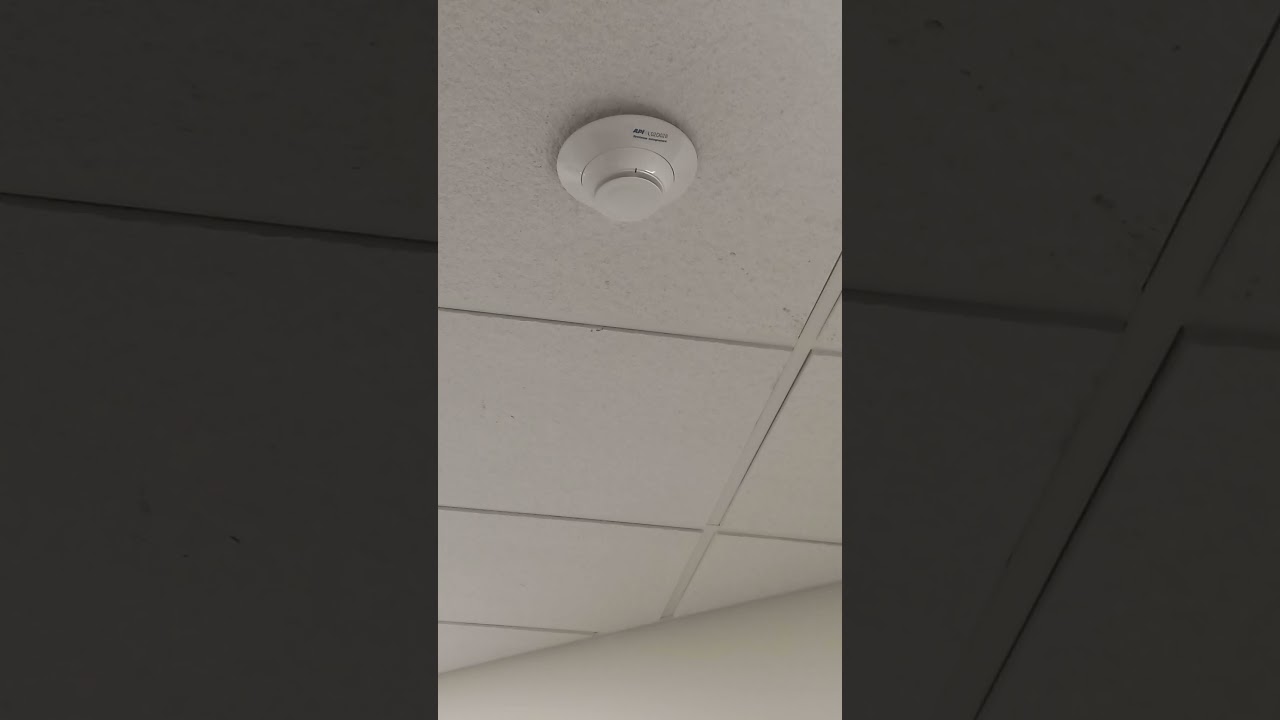 Notifier FSP-951 polling via FlashScan next to a System Sensor L-Series SPSCWL speaker strobe.