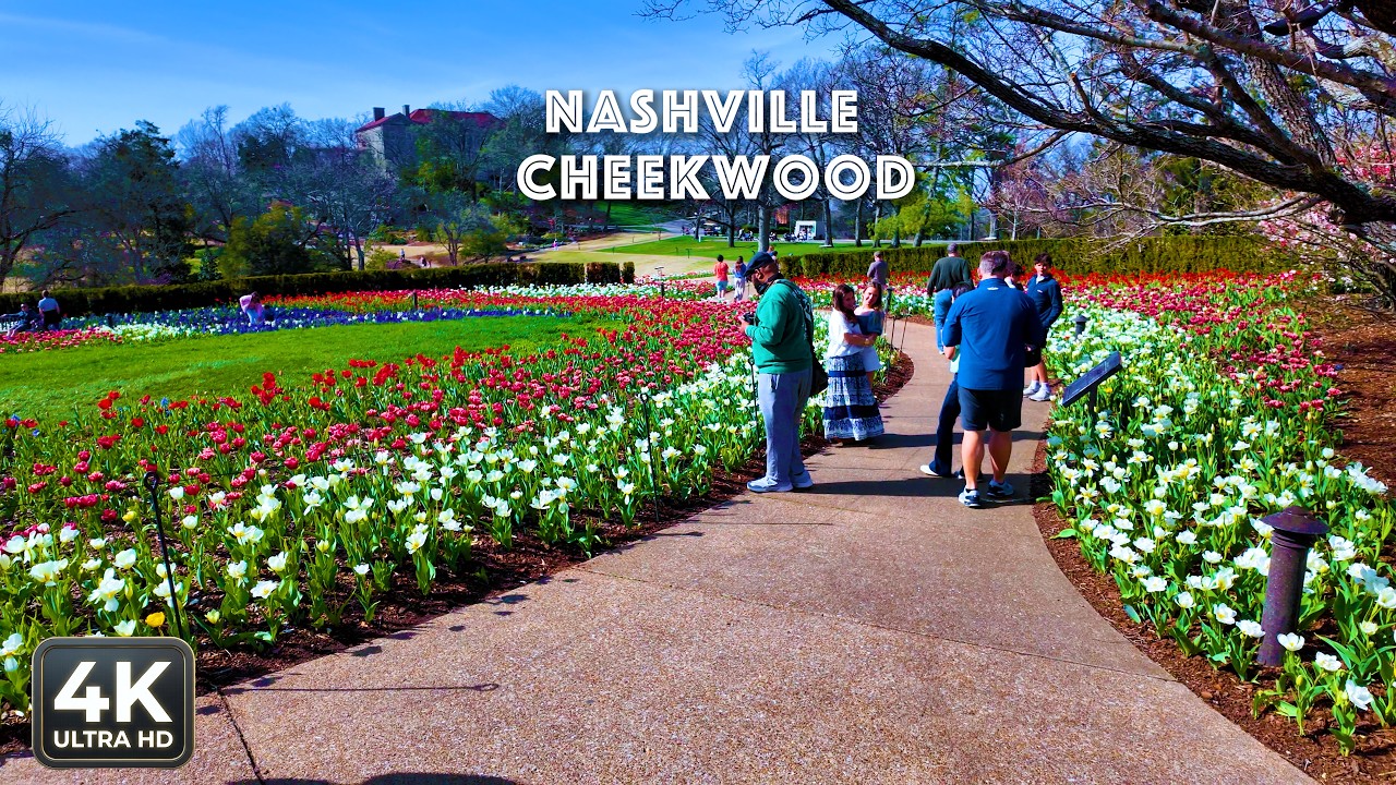 [4K] Nashville, TN | Cheekwood Tulips 🌷