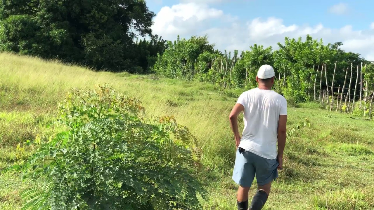 Finca en Cuba