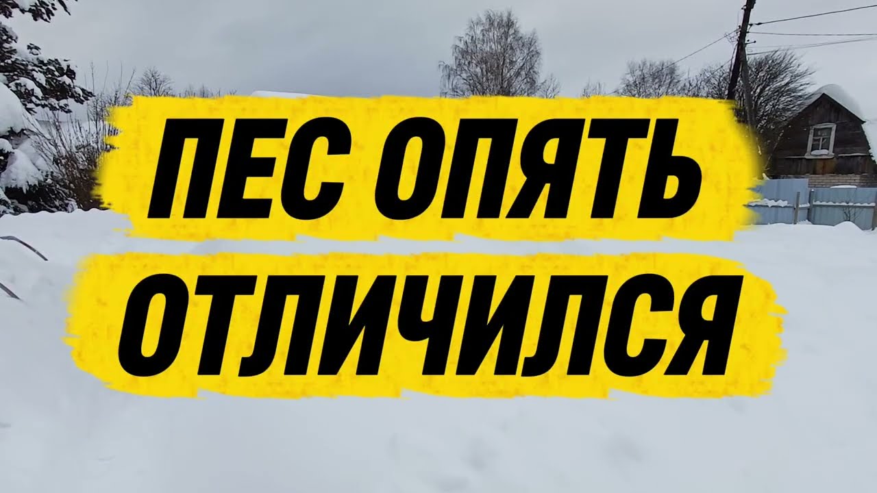 Кто проломил теплицу 🤔