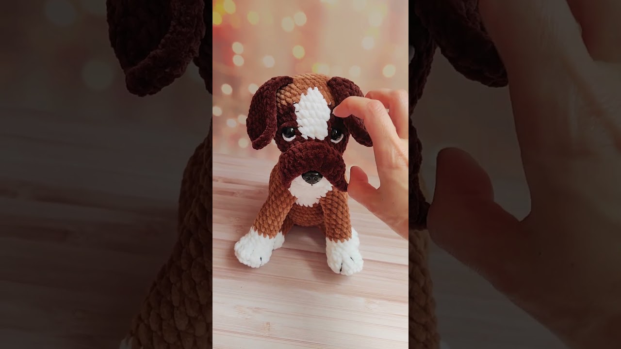 Boxer Dog