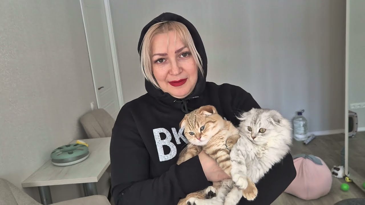 Элла с котятами едет за салом 😊