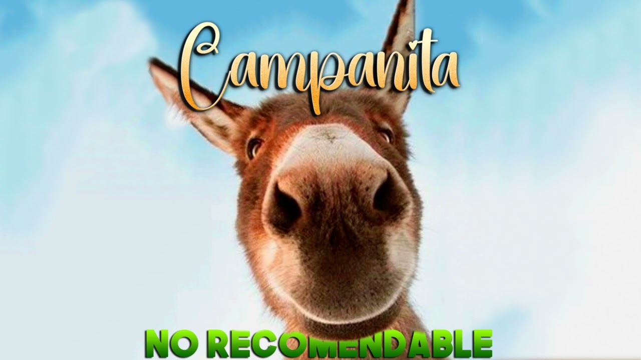 NO RECOMENDABLE - Campanita