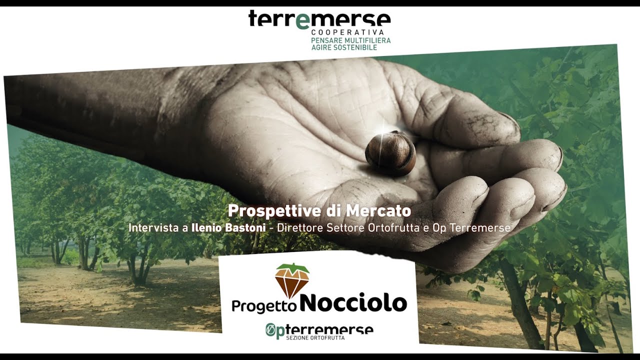 Nocciolo: prospettive di mercato con Terremerse. Intervista al Direttore  Ilenio Bastoni