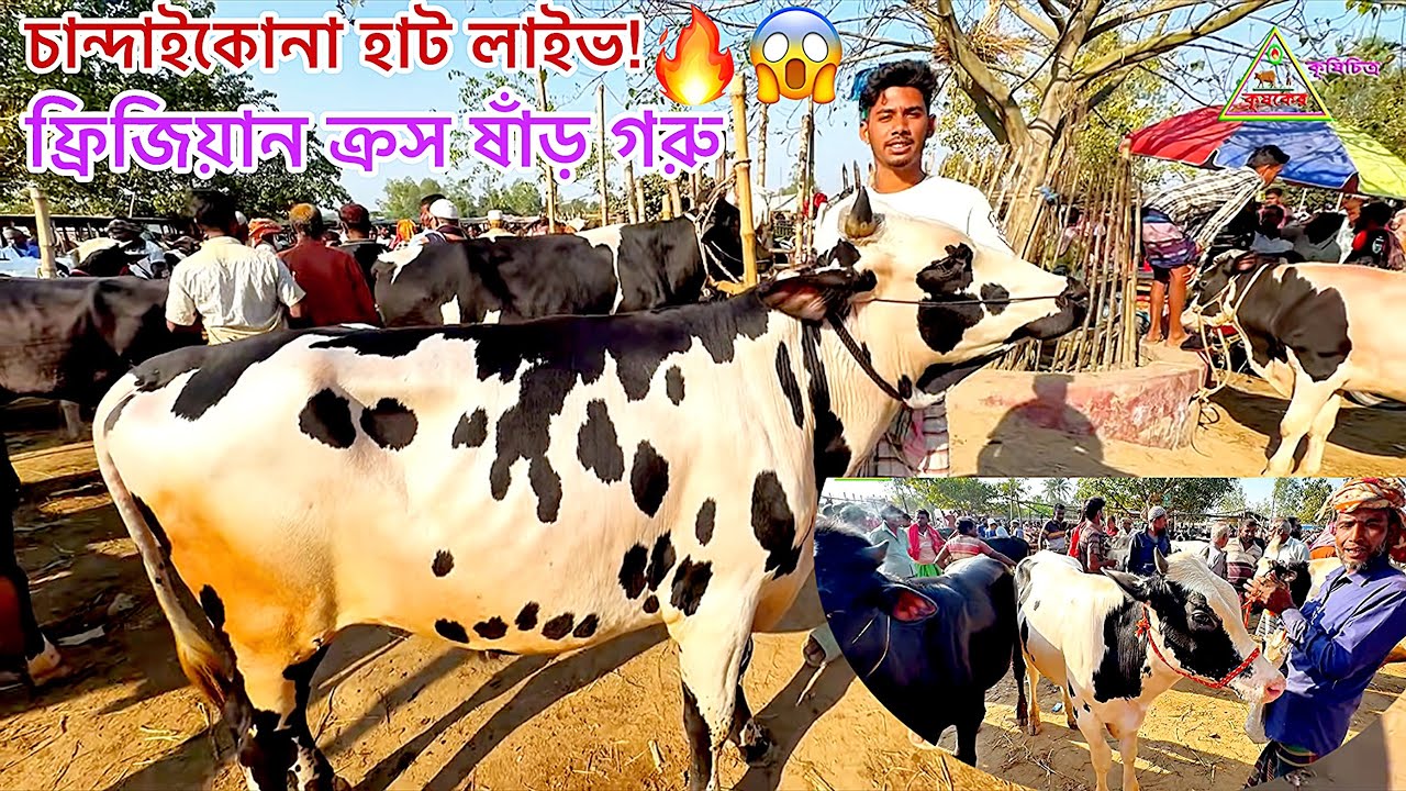 @আজ ১৪/১২/২৫