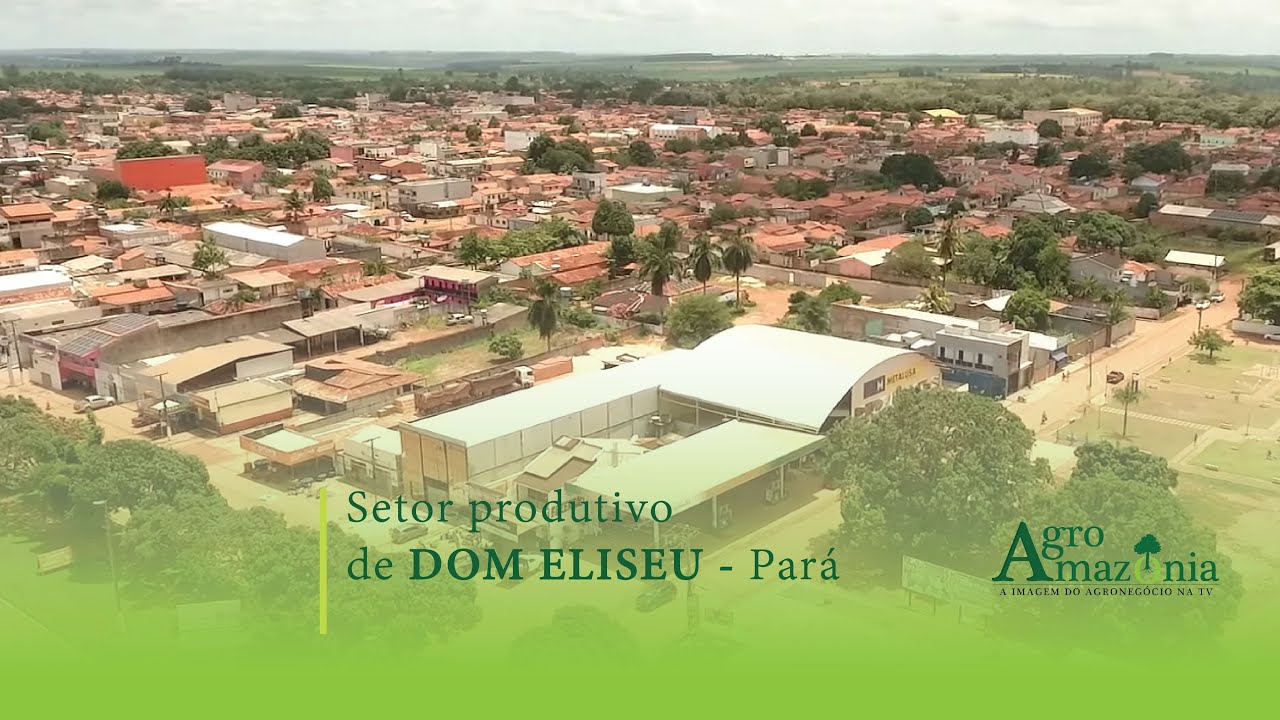Setor Produtivo de Dom Eliseu - Par&aacute;