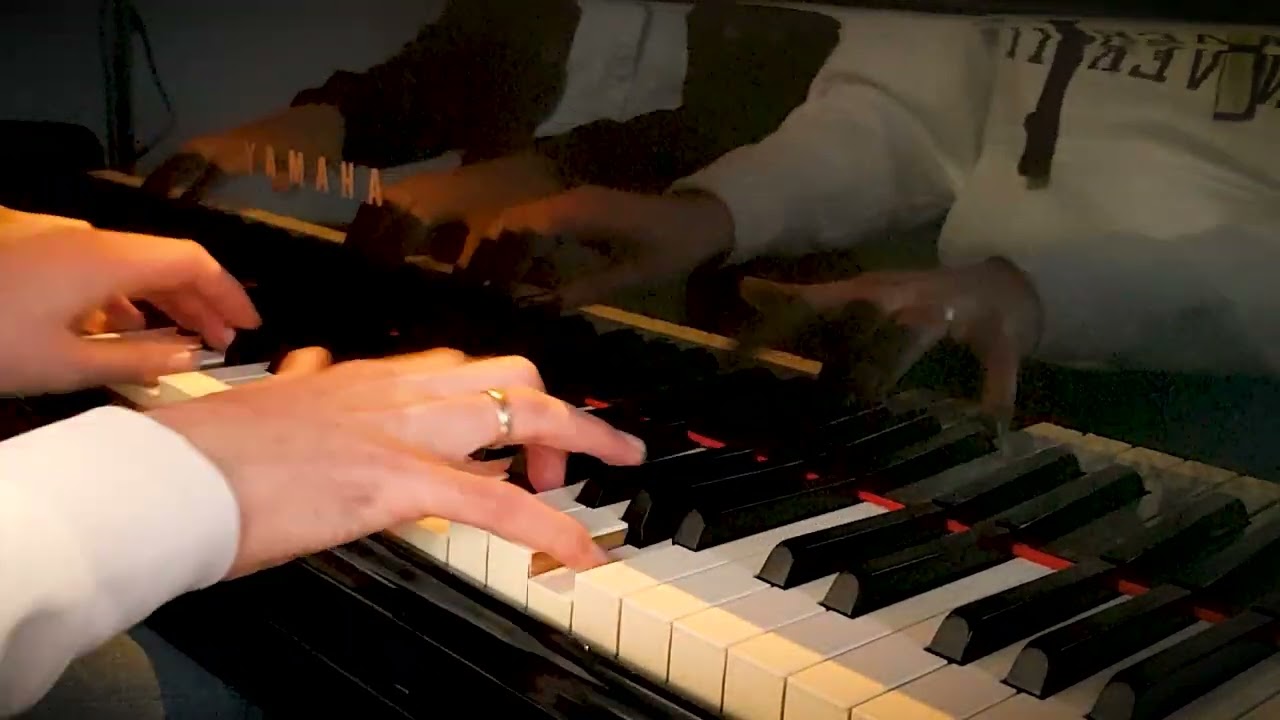 Tritsch-Tratsch Polka, Strauss | Quatre-mains: Mark Brandwijk & Wouter Harbers