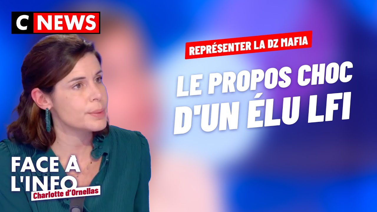 Représenter « la DZ » : le propos choc d'un élu LFI