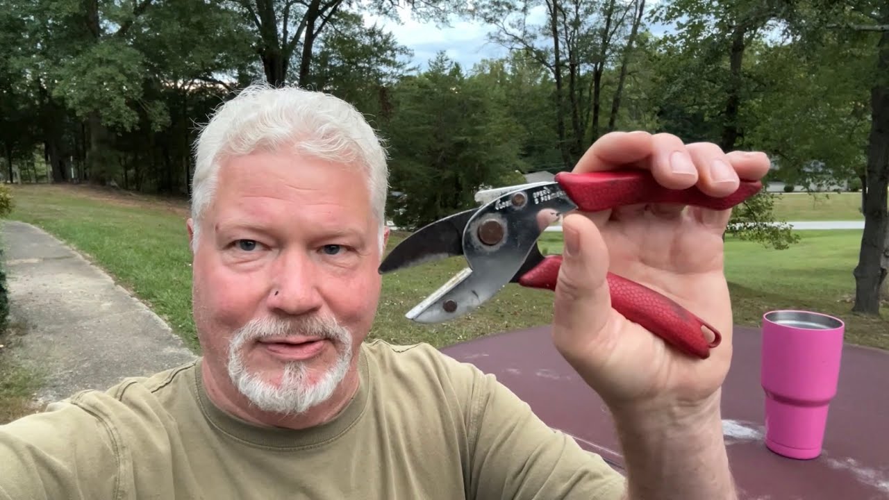 Hand Drill, Harvesting Roadside Horseweed, Leaves Fire Roll