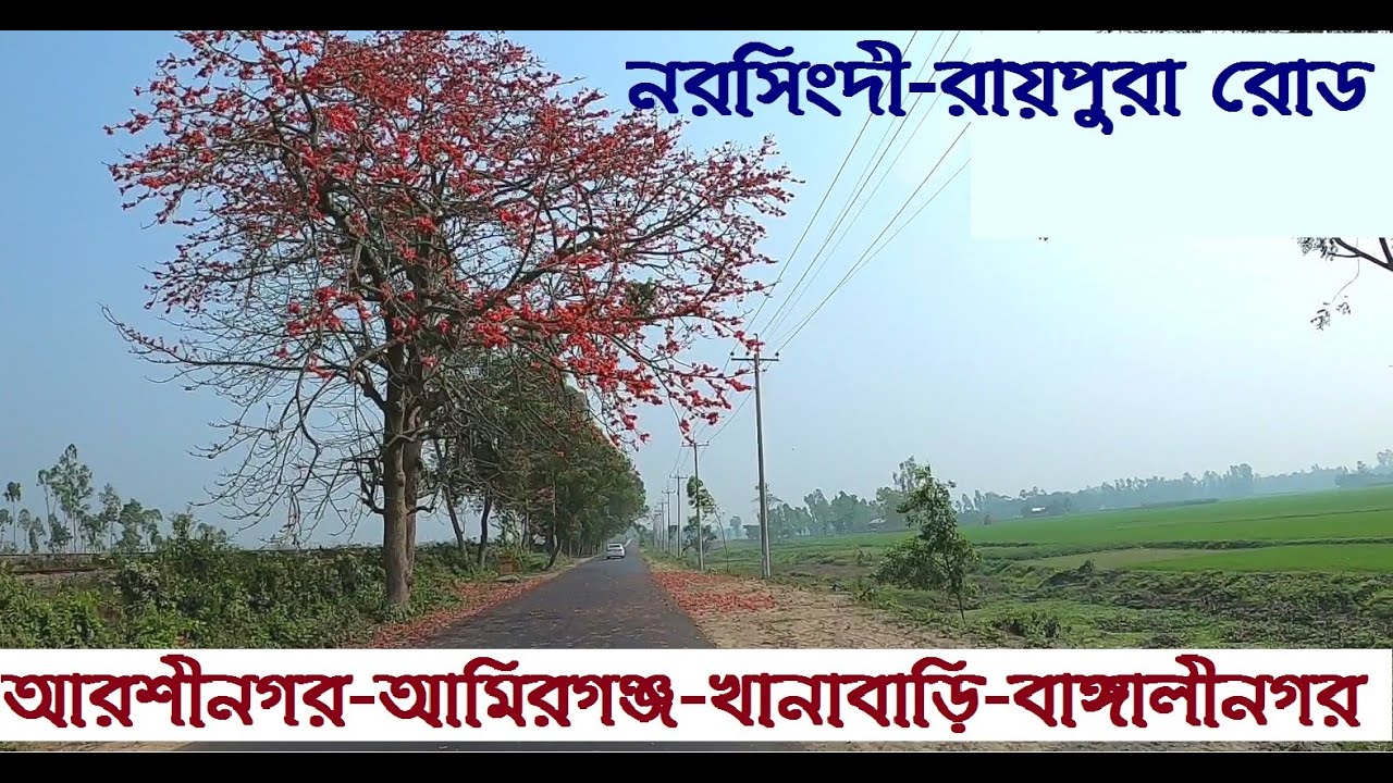 Narsingdi Raipura Road | Arshinagar To Amirgonj-Khanabari-Bangalinagar || Street View