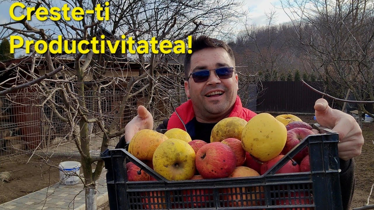 Taierile la mar ! (întreținere și fructificare)