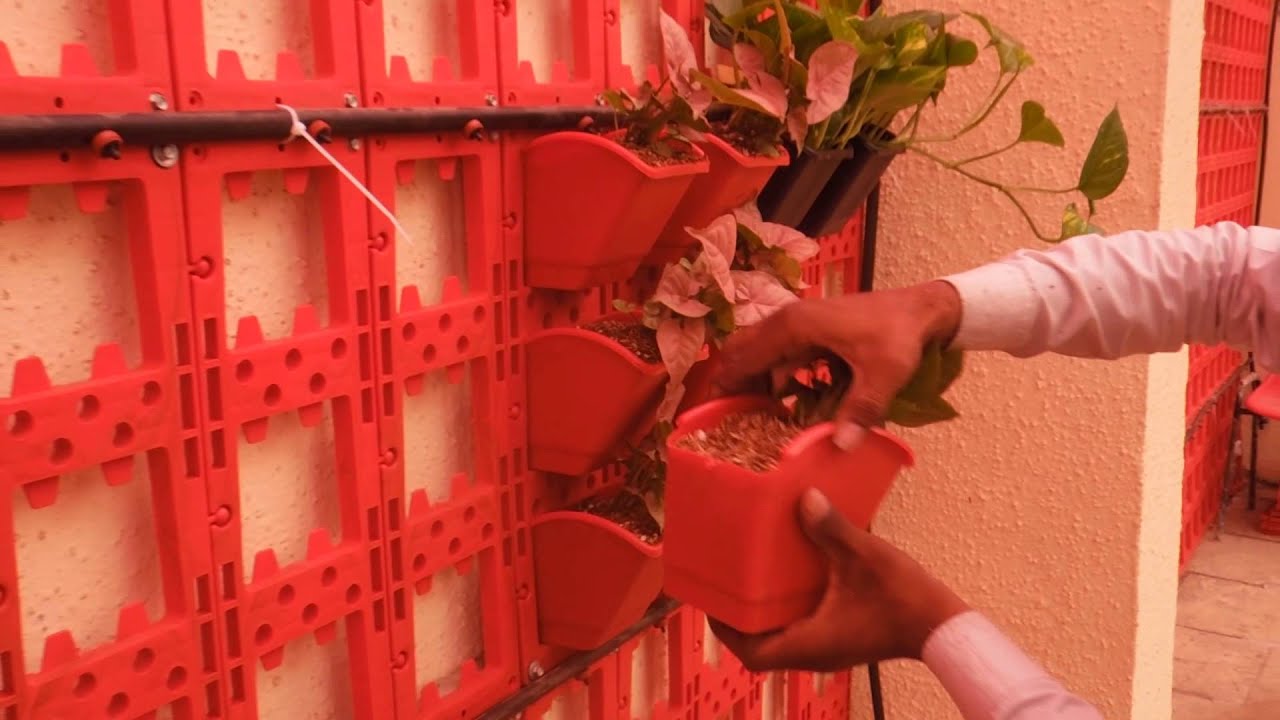 Video 9:Vertical Garden Biowall Pot Installation on the Frames Fixed on the walls
