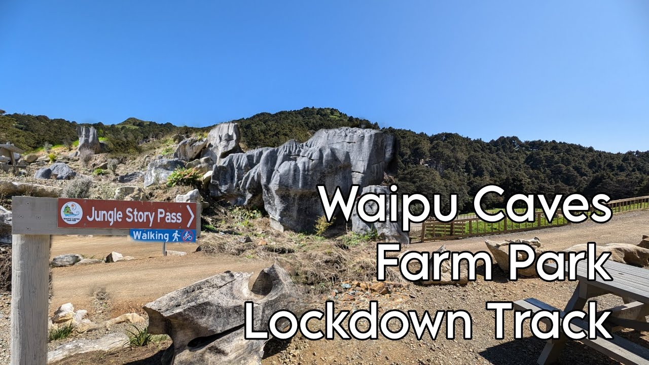 Lockdown Track Adventure: A Wild Lush Bush Hike