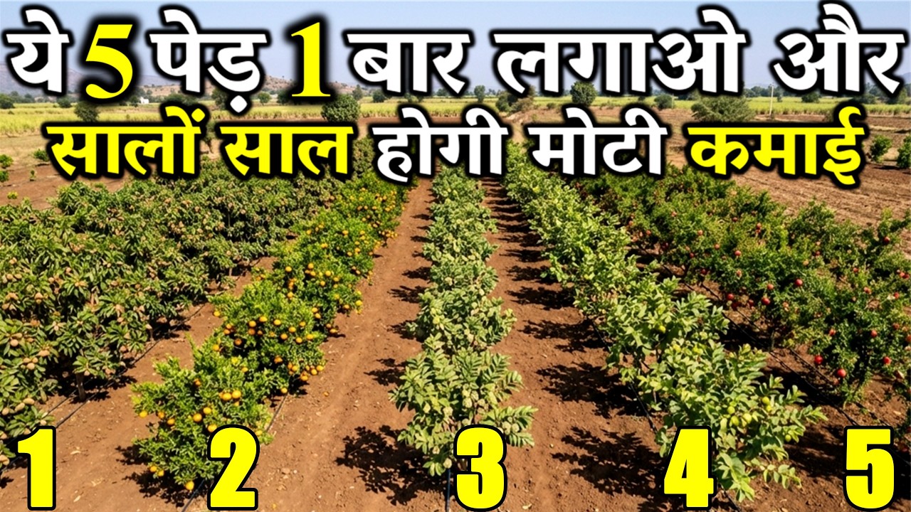 ये 5 पेड़ लगाओ और सालों-साल कमाई पाओ | ये 5 पेड़ जो खेत को बना देंगे ATM | Tree Farming Part 2