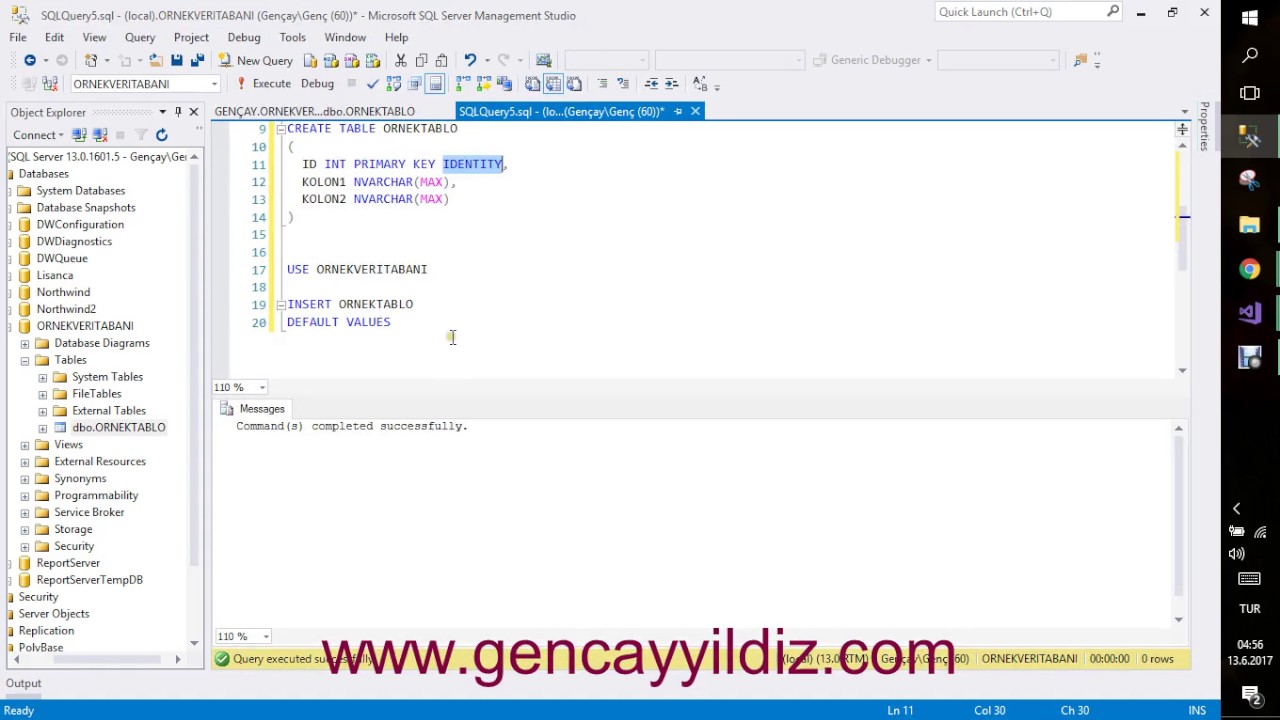 126-) T-SQL Default Values İle Sadece Identity Kolonuna Veri Eklemek