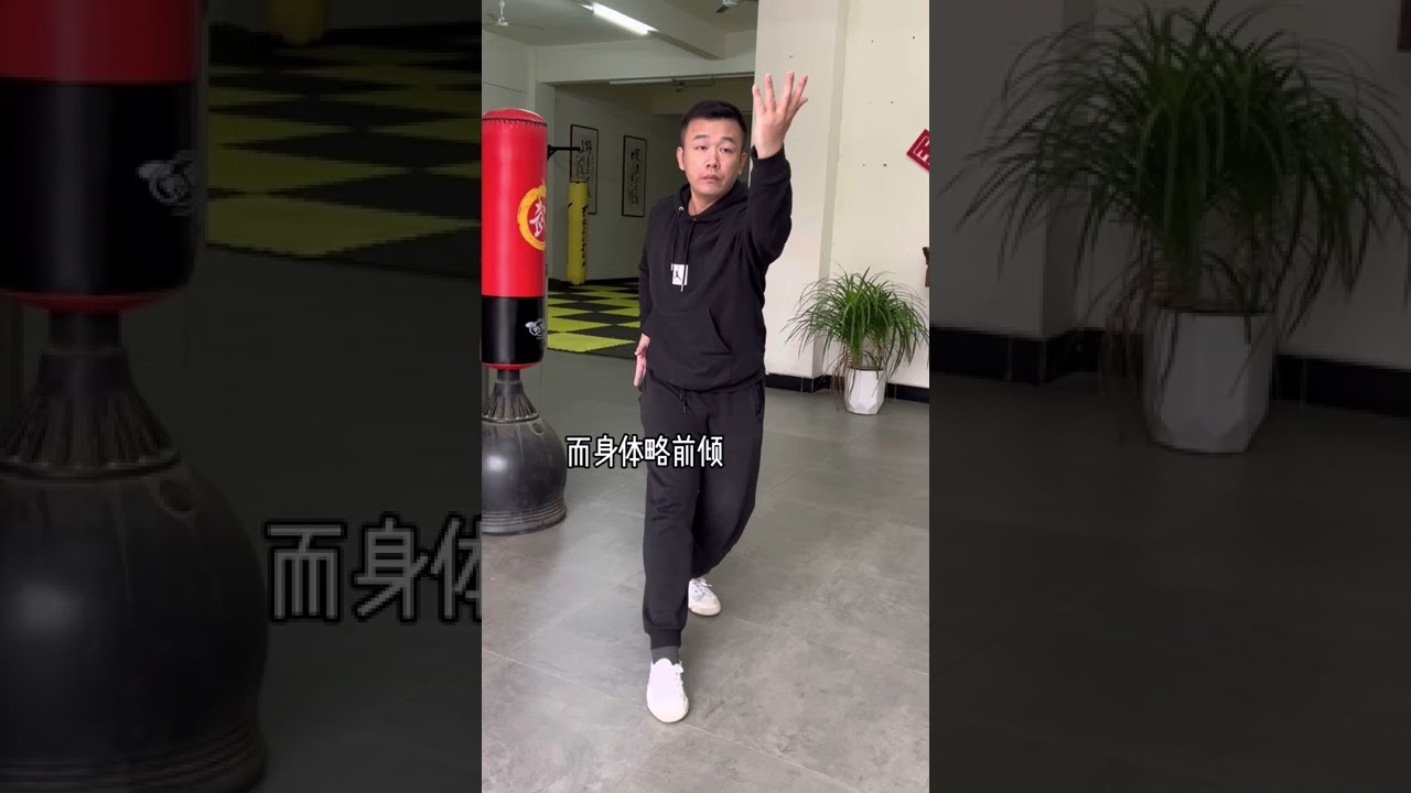 八极拳小架教学（唐强）bajiquan xiao jia