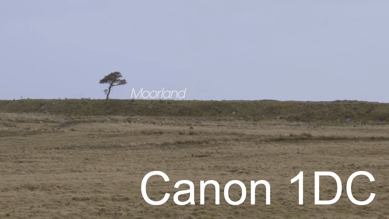 Moorland - Shot on Canon 1DC in 4K