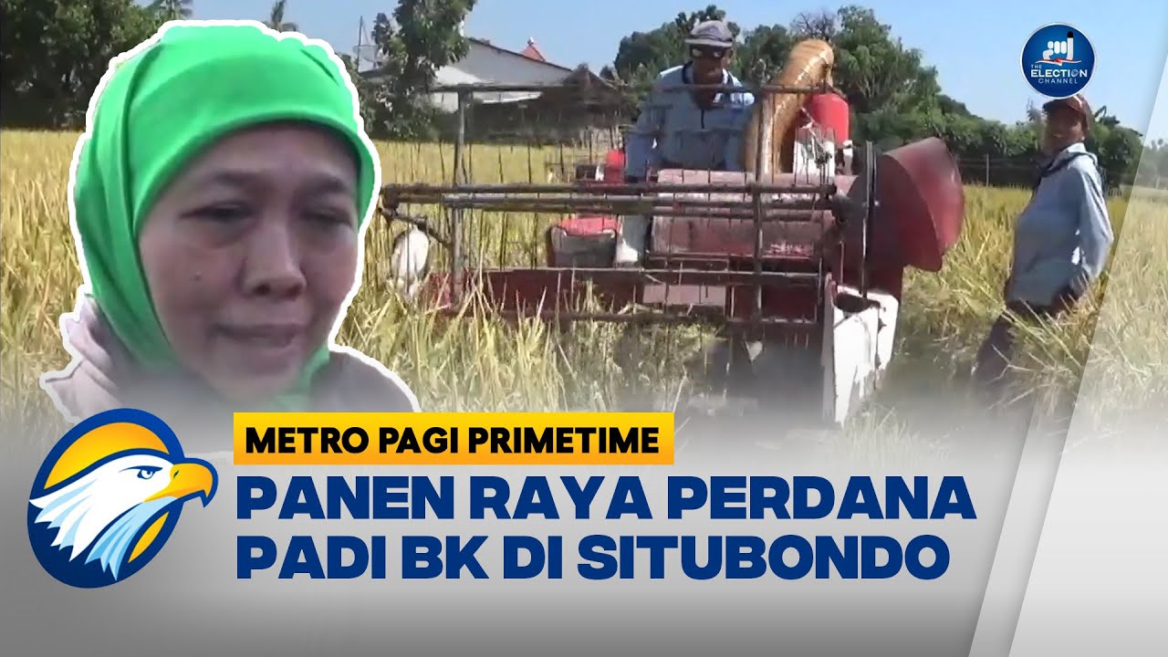 Padi BK Ditargetkan jadi Lumbung Pangan Nasional