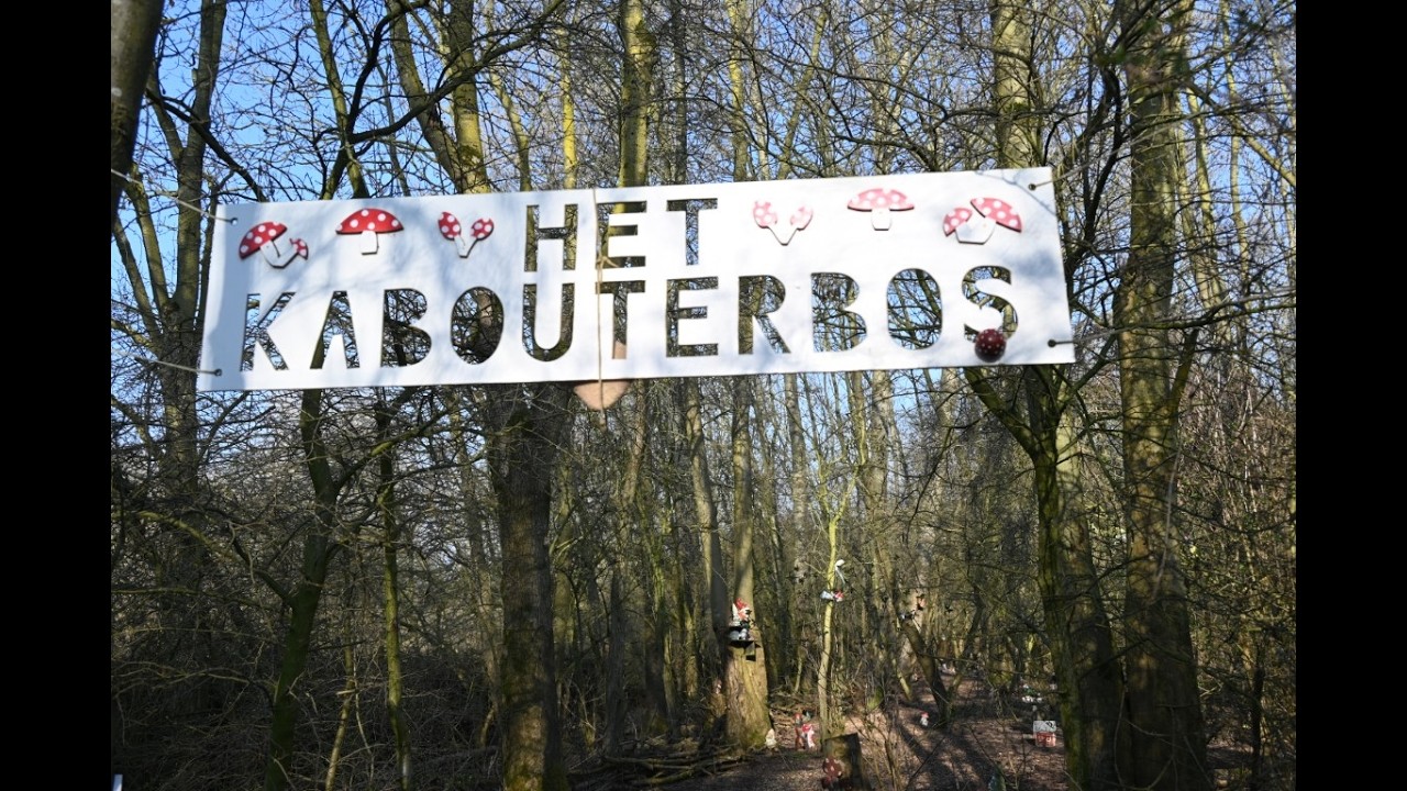 Ontelbare kabouters in het Prinses Irenebos in Alphen aan de Rijn. www.leidseglibber.nl