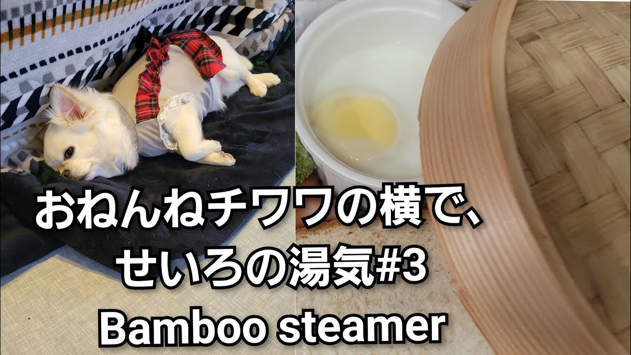 【無音】おねんねチワワの横で、せいろ蒸し湯気。#チワワ#チワワのいる暮らし#生活音#静かな暮らし#癒し#せいろ蒸し#昼ご飯