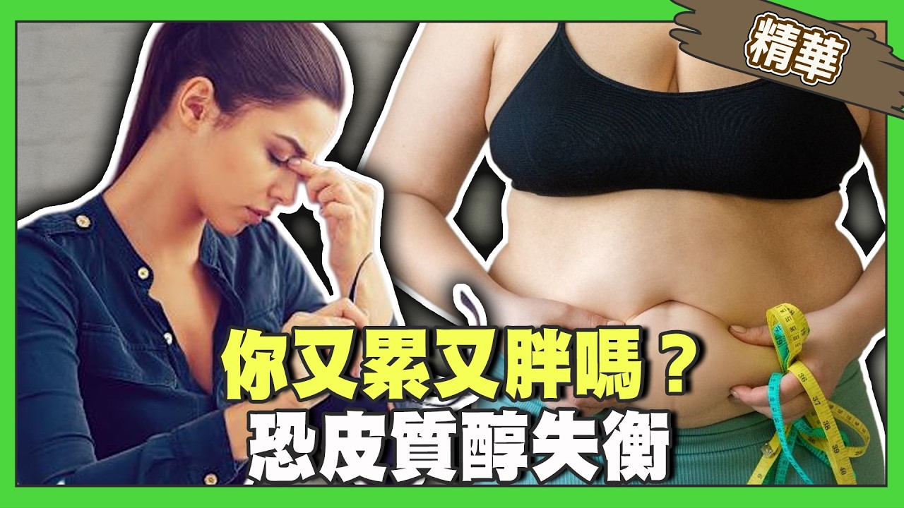 你也又累又胖嗎？ 問題出在「皮質醇」失衡！ 一圖看懂人體代謝密碼 抗老救健康！【精華版】
