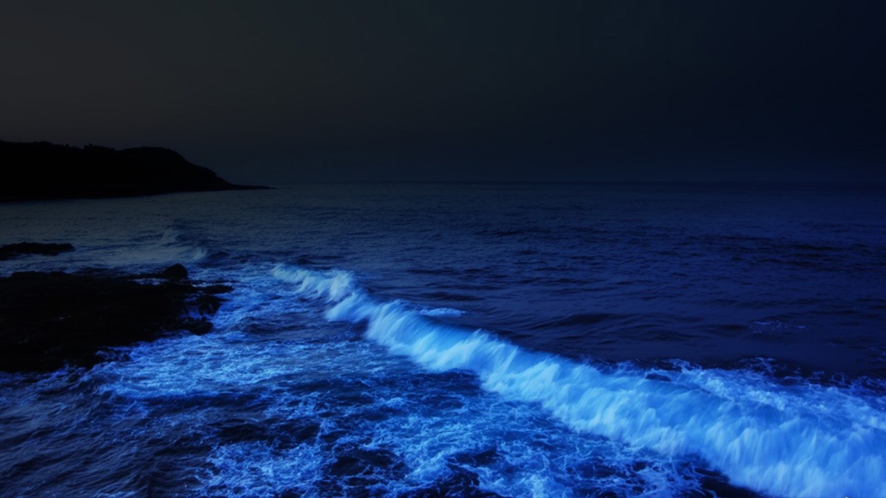 Relaxing Ocean Waves at Night | No Music | Pure Sea Sounds-RELAXING OCEAN SOUND AT NIGHT