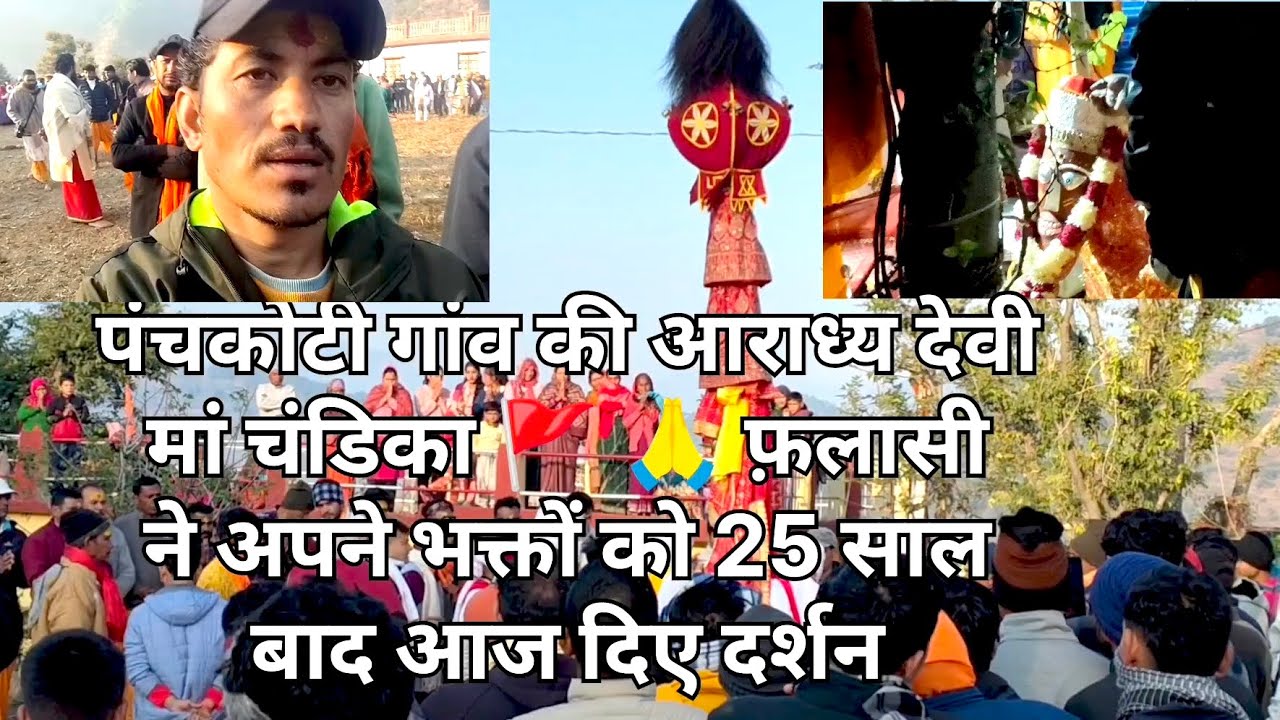 चंडिका🙏🚩 फ़लासी ने दिए अपने भक्तों को दर्शन 