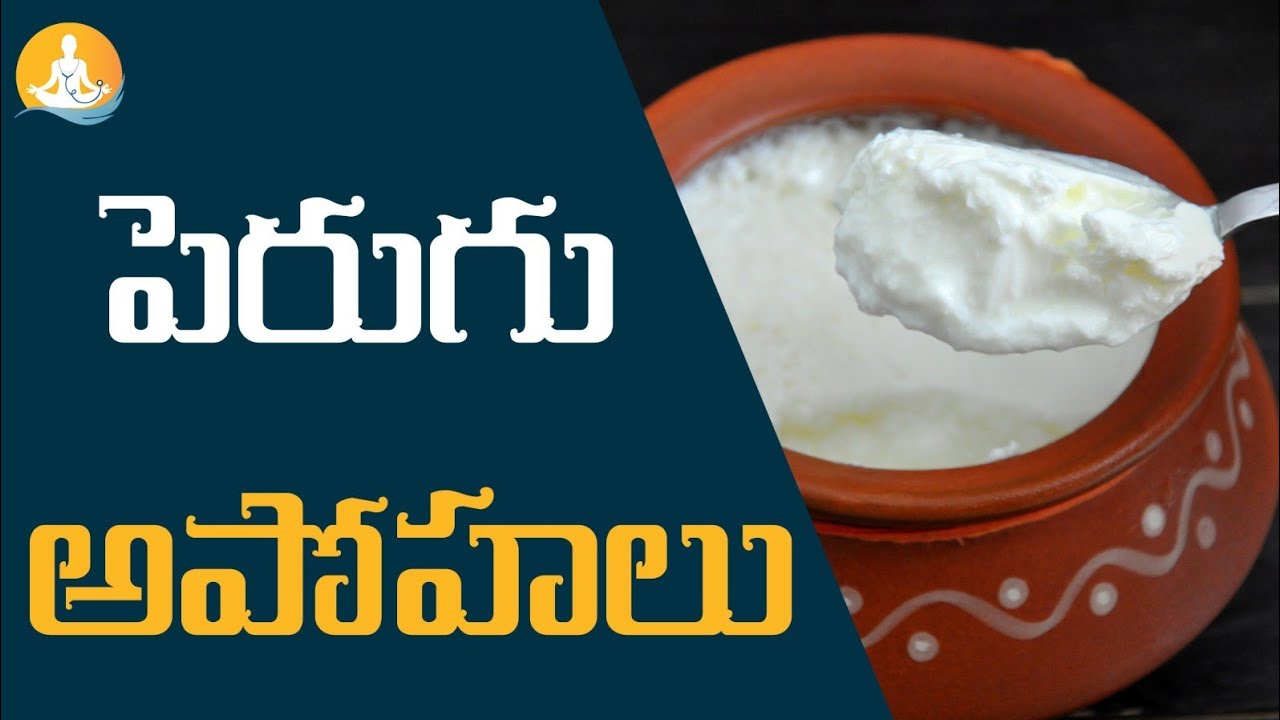Having Curd in Winter is Good or Bad.!?| #drcalmssanjeevani #curd #winter #healthyeating #food #milk