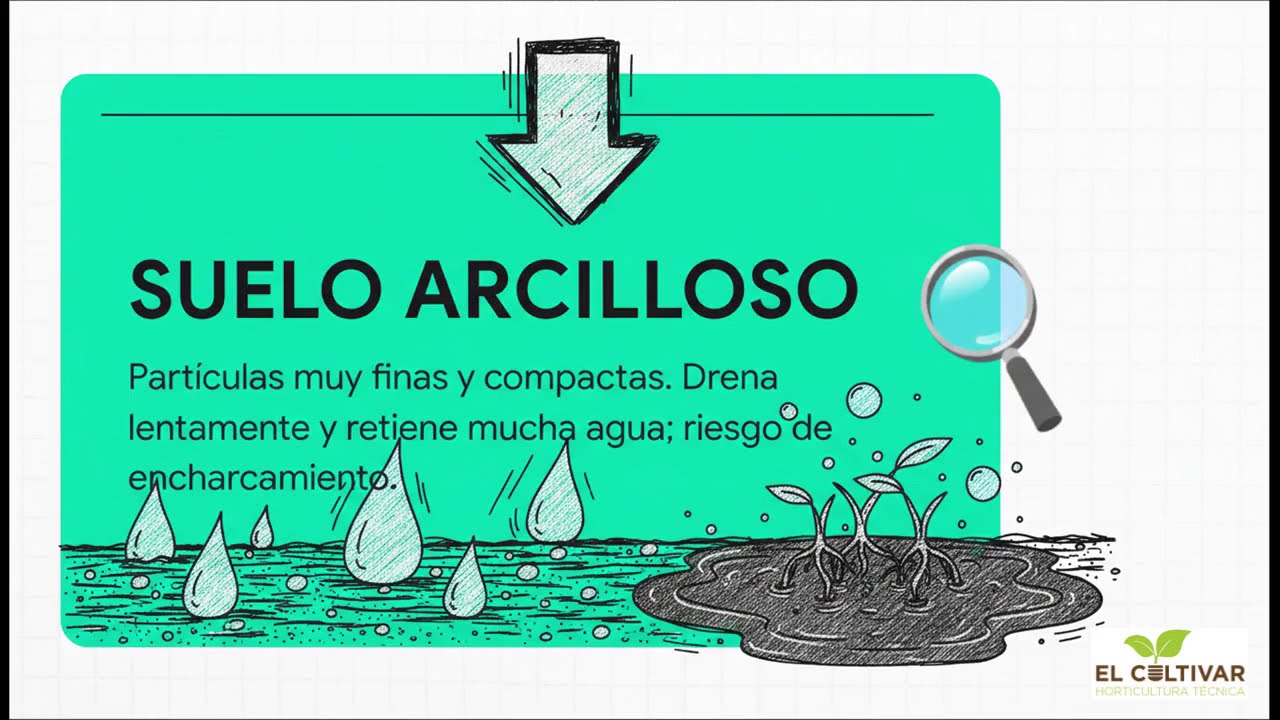 El Sistema de Riego Ideal  - El Cultivar