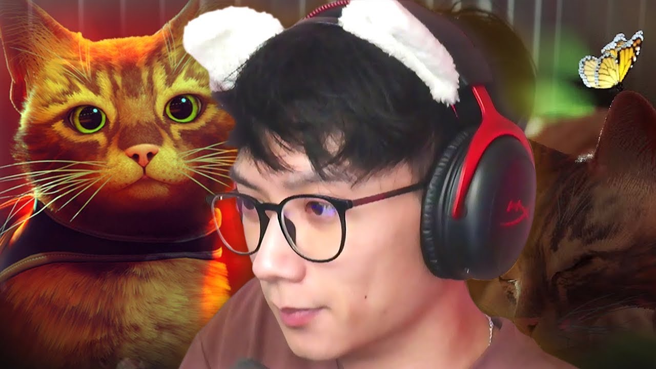 a wholesome cat game (stray)