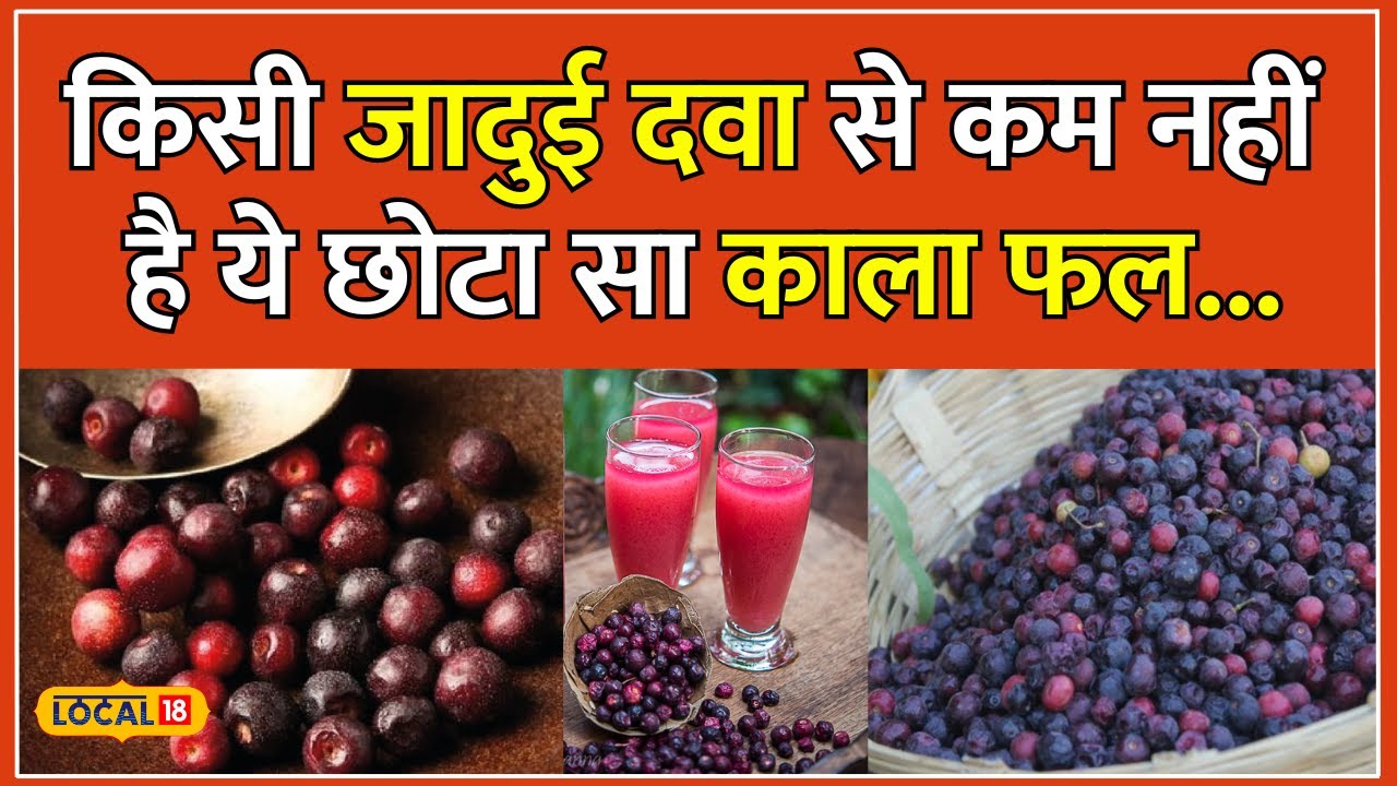 Benefits Of Phalsa: गर्मियों में फालसा खाने से मिलते हैं ये अद्भुत फायदे |Health Tips | #local18