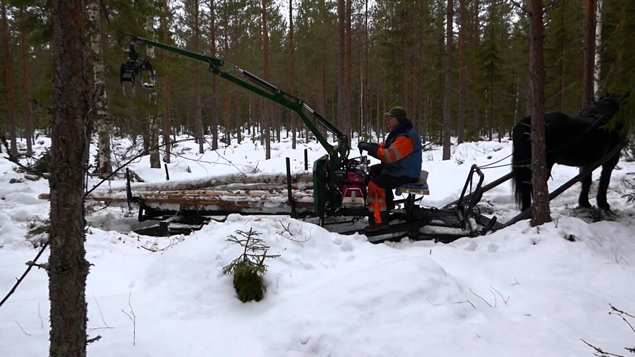 Skogshästen Vinga med kran