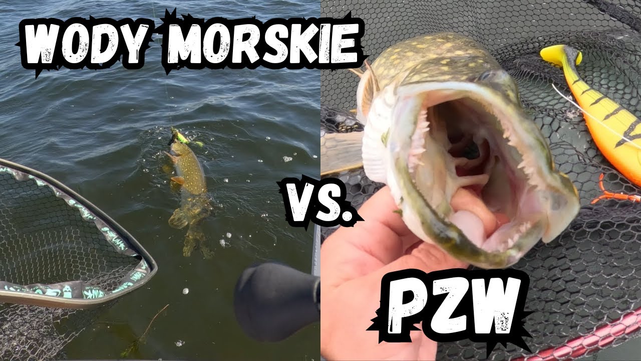 POLECIAŁEM SPRAWDZIĆ GDZIE SZCZUPAKI BIORĄ NAJLEPIEJ!