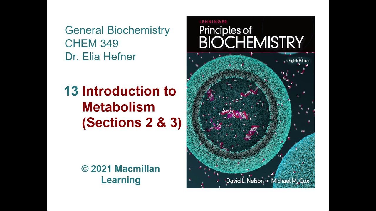 Chapter 13 - Introduction to Metabolism Part 1 (Sections 2 & 3)