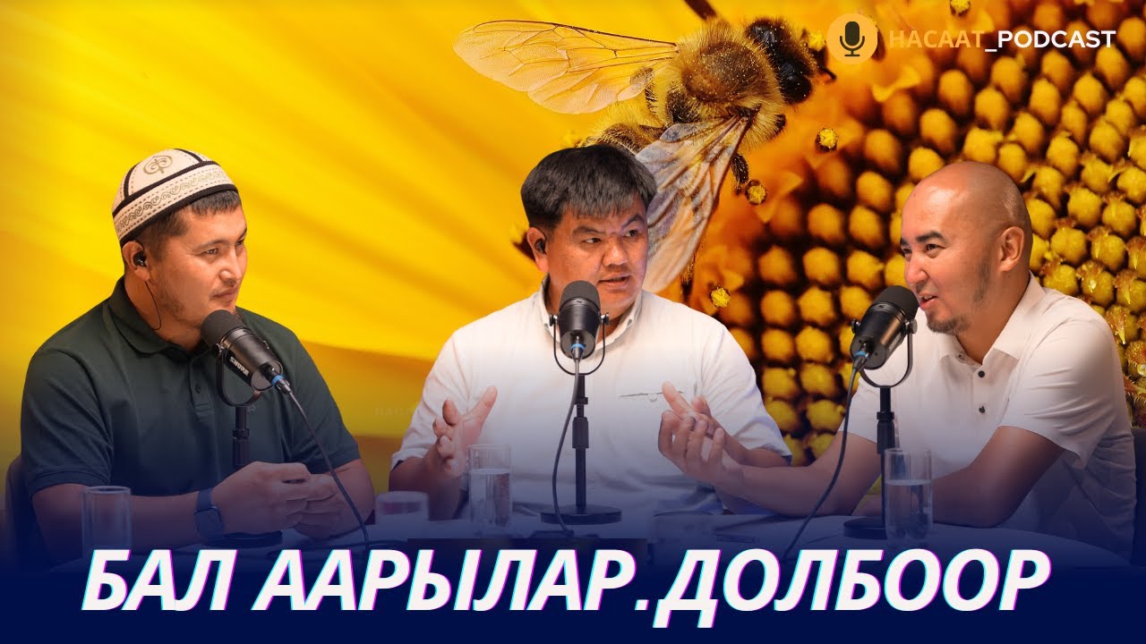 Үй-бүлө жана кулпунай долбоору. Бал, аарылар. #НАСААТ_Podcast. Алишер Кадыркулов. Нуриет Абдулазиз